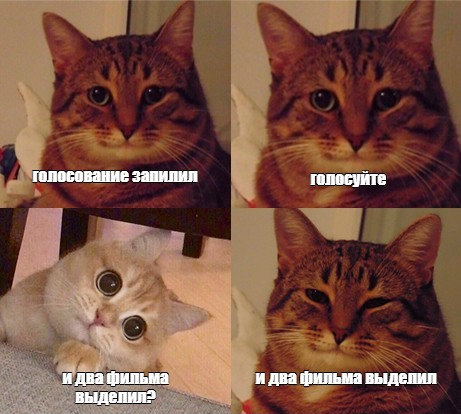 Ебать я молодец, ща общественное мнение узнаю